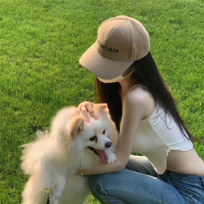 宝岛恩仇